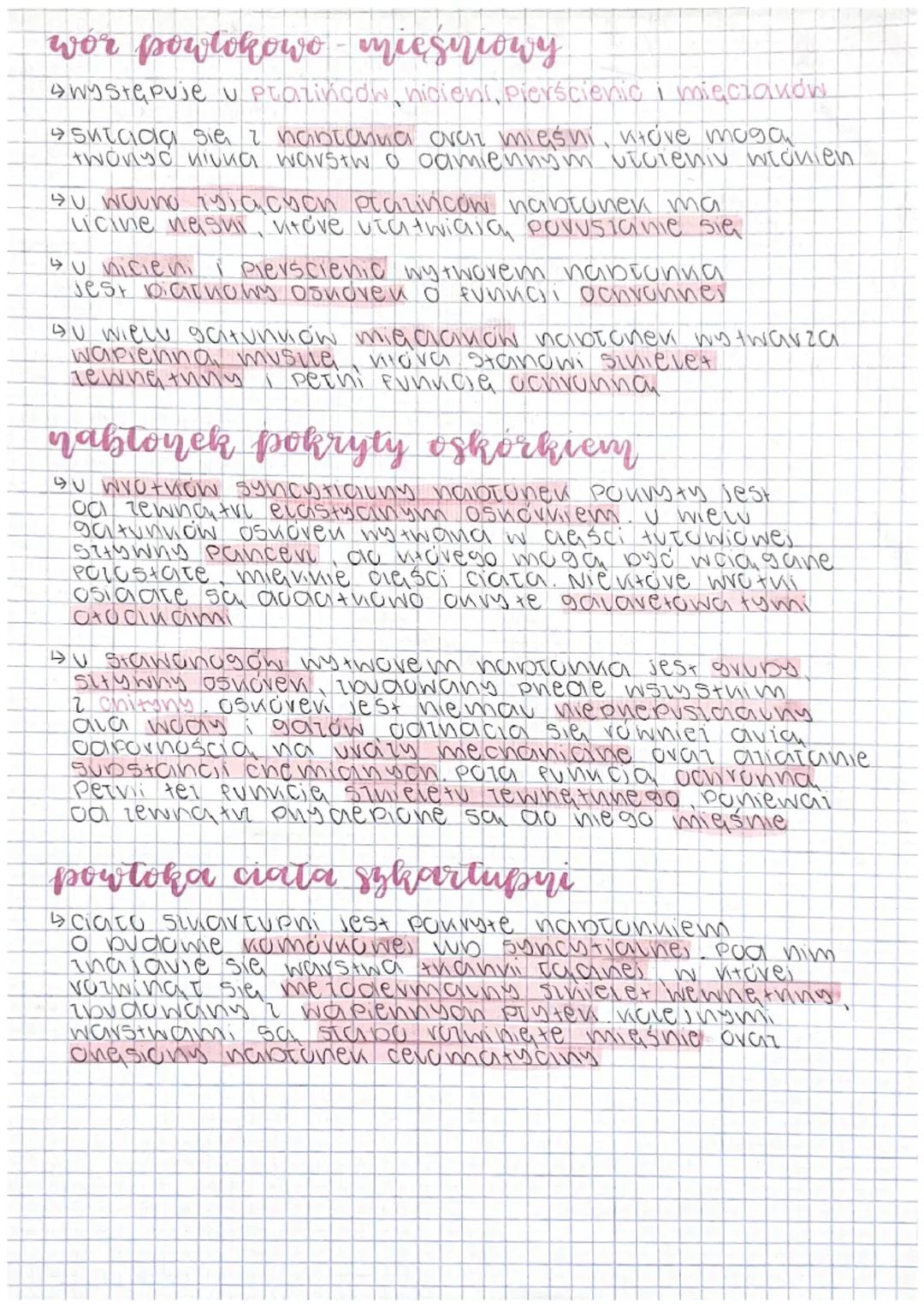 UKŁAD POWŁOKOWY U ZWIERZĄT
POWToka Ciata stanowi Tewnętvina warstwę organizmu
wewnetrine
od otoczenia, a jeanoceśnie tapewnia whethu ciata
K