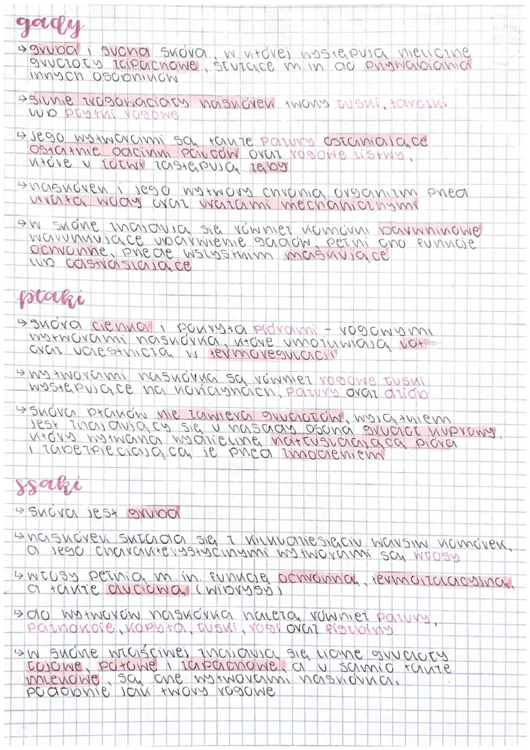 UKŁAD POWŁOKOWY U ZWIERZĄT
POWToka Ciata stanowi Tewnętvina warstwę organizmu
wewnetrine
od otoczenia, a jeanoceśnie tapewnia whethu ciata
K