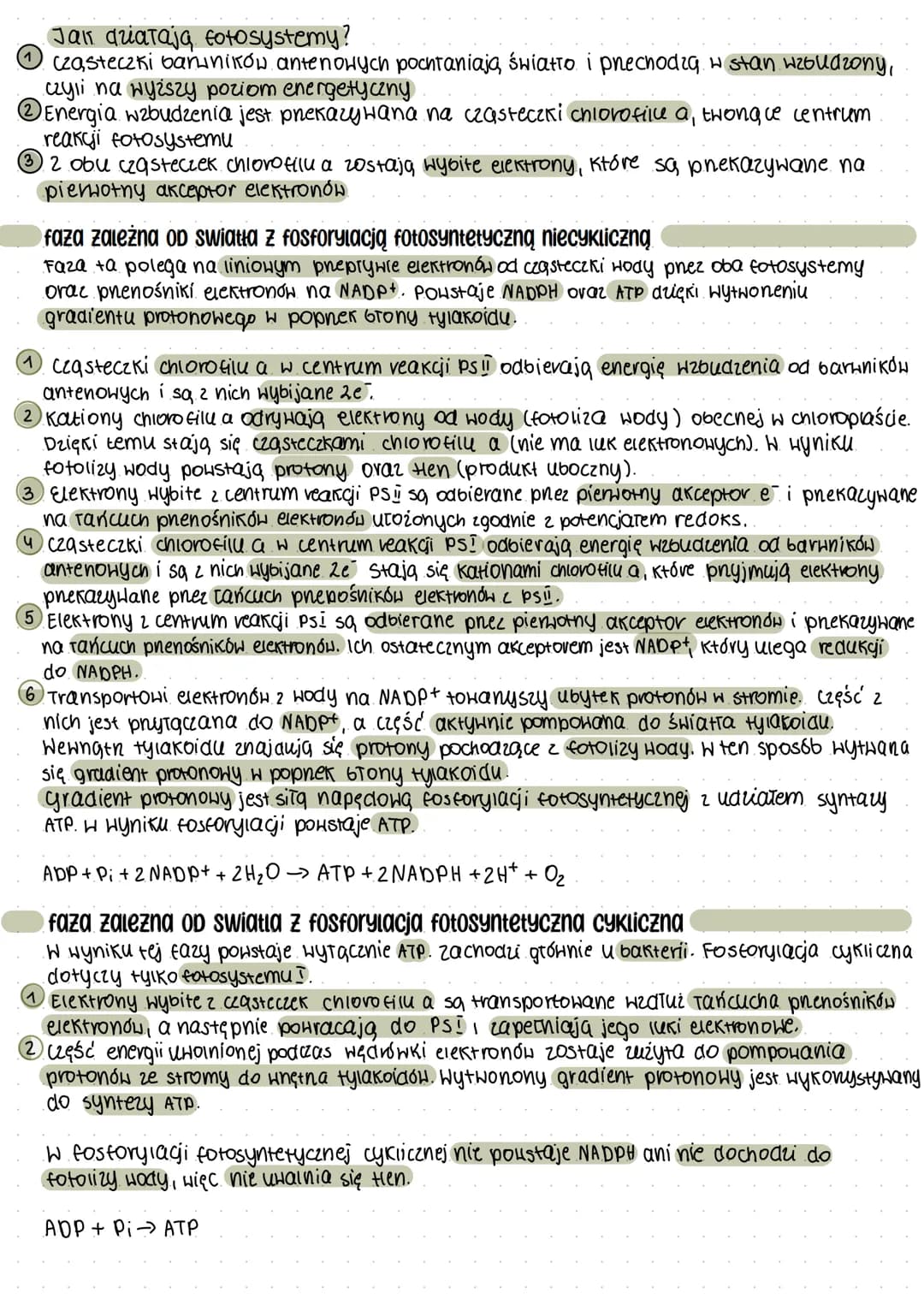 Fotosynteza
STOńce-podstawowe źródło energii, od którego zależy istnienie życia na ziemi..
autotrofy - organizmy samożywne
●
Autotrofizm-rod