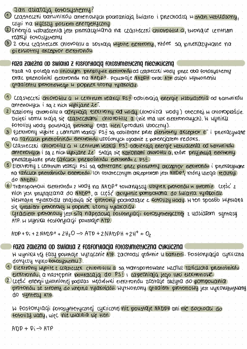 Fotosynteza
STOńce-podstawowe źródło energii, od którego zależy istnienie życia na ziemi..
autotrofy - organizmy samożywne
●
Autotrofizm-rod