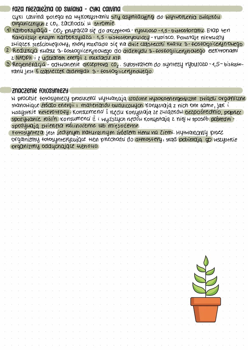 Fotosynteza
STOńce-podstawowe źródło energii, od którego zależy istnienie życia na ziemi..
autotrofy - organizmy samożywne
●
Autotrofizm-rod