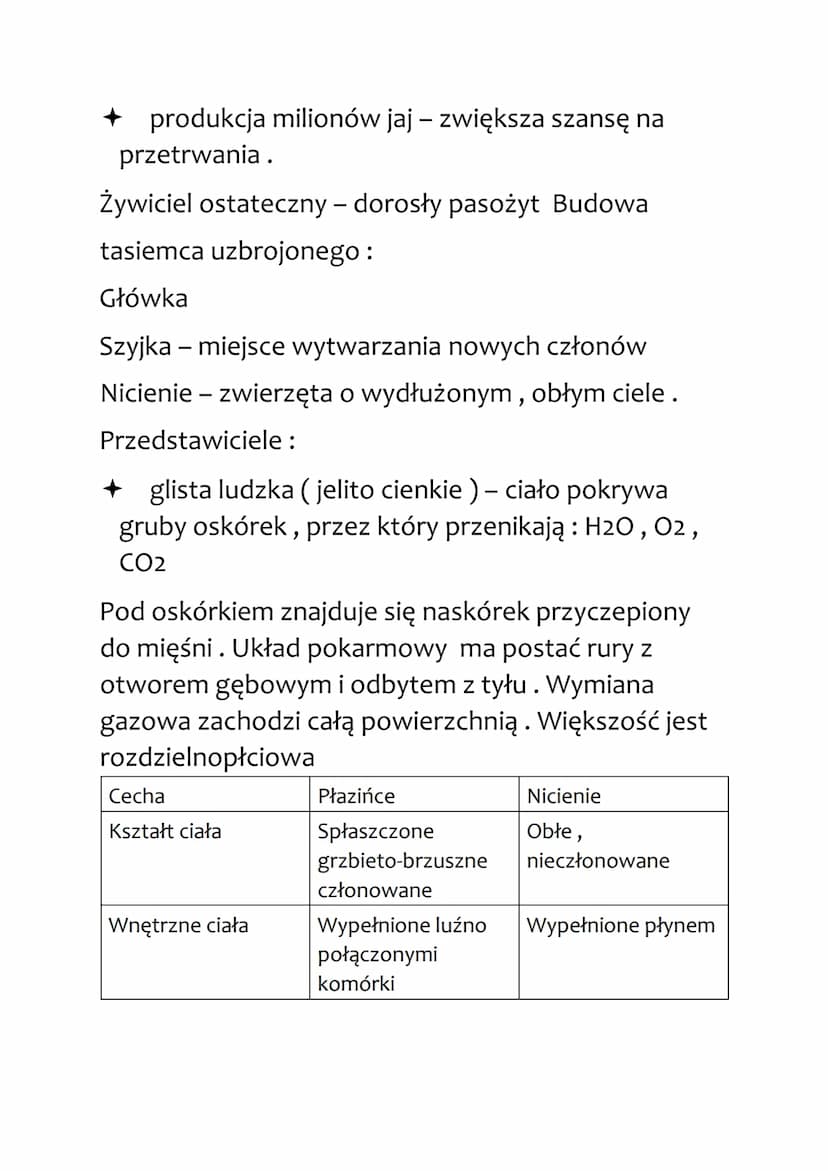 PŁAZIŃCE I NICIENIE
Budowa płazińców:
grzbieto-brzuszne spłaszczone zwierzęta o
symetrii dwubocznej
+ układ pokarmowy: otwór gębowy, brak od