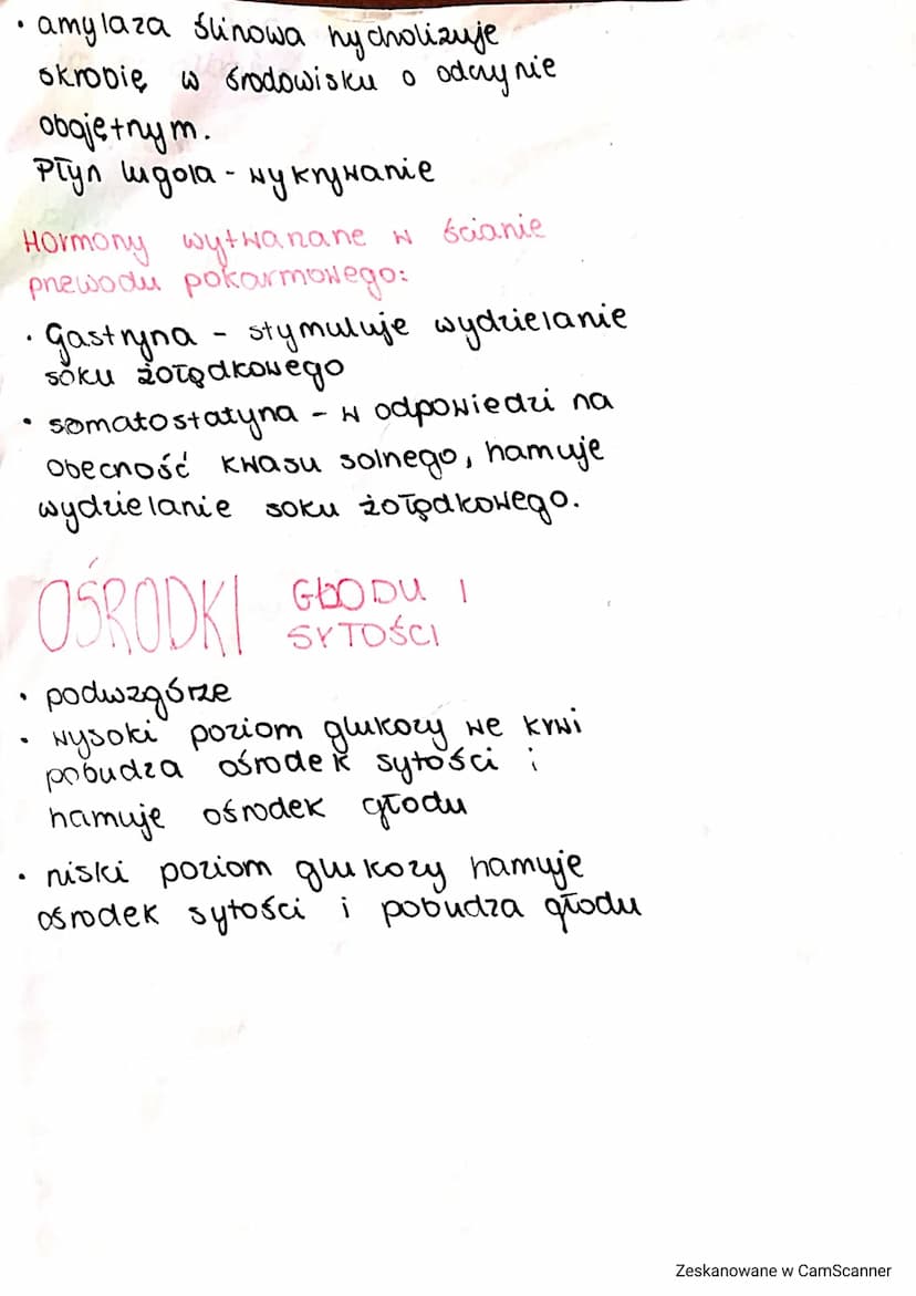Jakarand
O
-
SACHARYDY
węglowodany przyswajalne:
·monosacharydy (cukry proste)
glukoza, fruktoza, galaktoza
- disacharydy (dwucukry)
sacharo