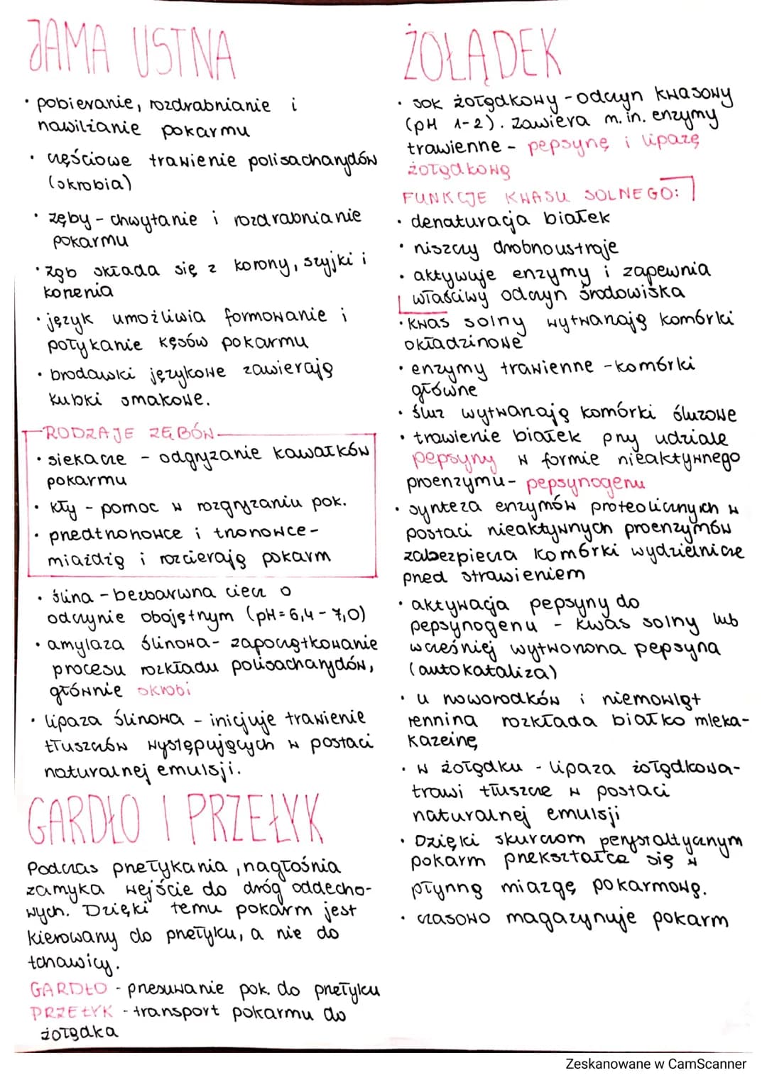 Jakarand
O
-
SACHARYDY
węglowodany przyswajalne:
·monosacharydy (cukry proste)
glukoza, fruktoza, galaktoza
- disacharydy (dwucukry)
sacharo