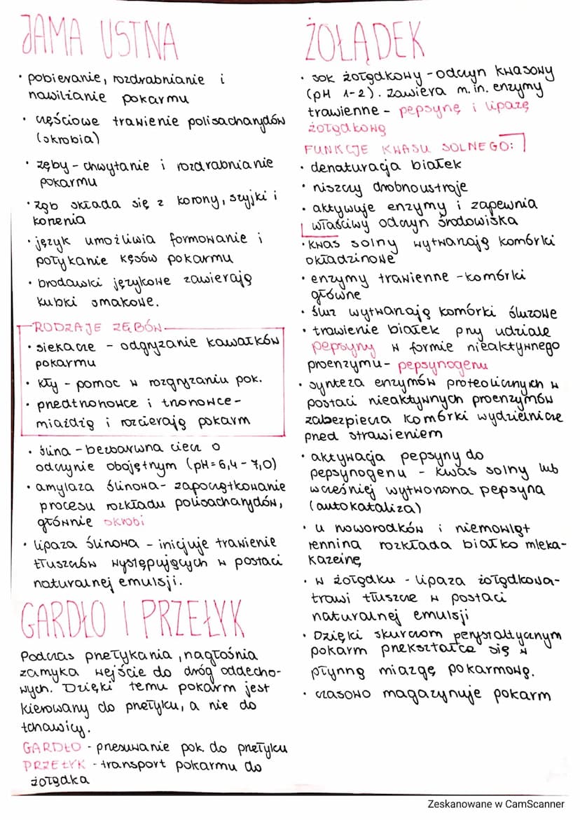 Jakarand
O
-
SACHARYDY
węglowodany przyswajalne:
·monosacharydy (cukry proste)
glukoza, fruktoza, galaktoza
- disacharydy (dwucukry)
sacharo