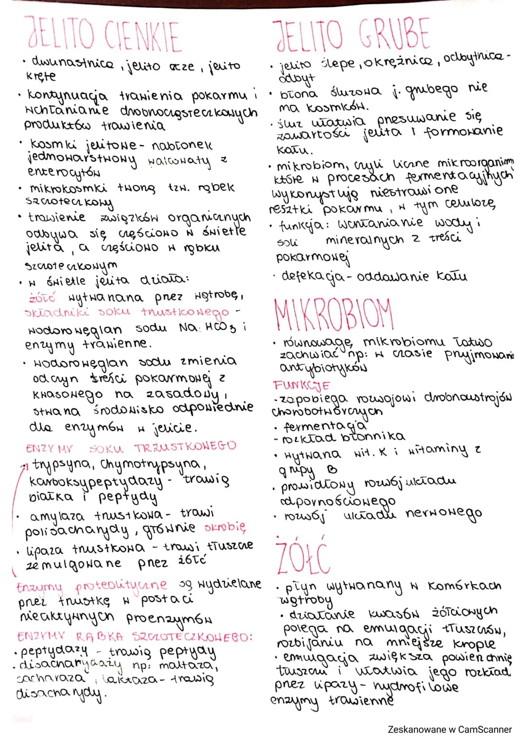 Jakarand
O
-
SACHARYDY
węglowodany przyswajalne:
·monosacharydy (cukry proste)
glukoza, fruktoza, galaktoza
- disacharydy (dwucukry)
sacharo