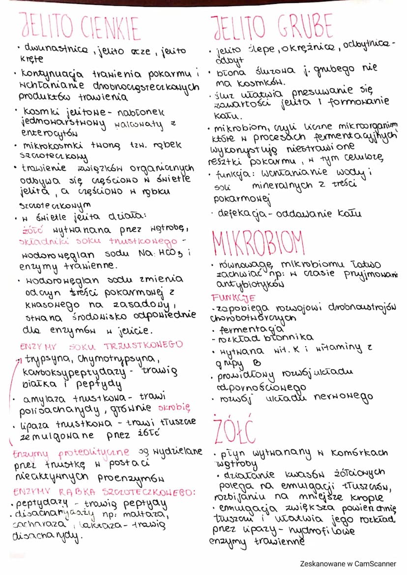 Jakarand
O
-
SACHARYDY
węglowodany przyswajalne:
·monosacharydy (cukry proste)
glukoza, fruktoza, galaktoza
- disacharydy (dwucukry)
sacharo