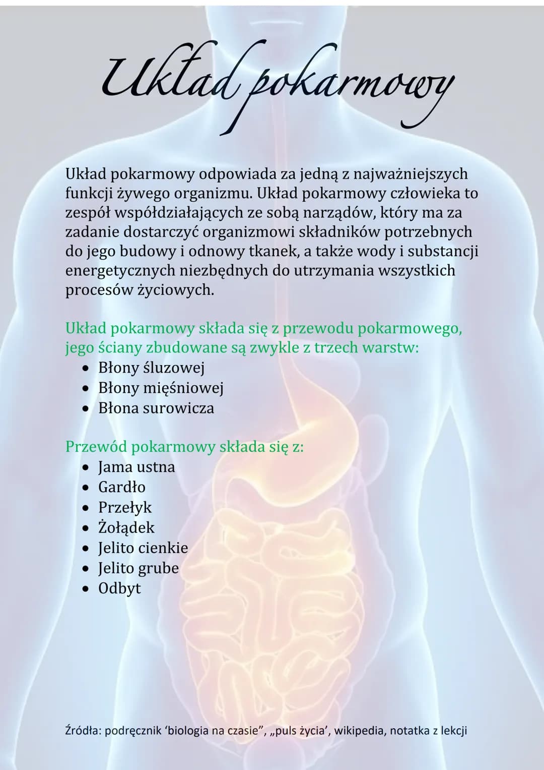 Układ pokarmowy
Układ pokarmowy odpowiada za jedną z najważniejszych
funkcji żywego organizmu. Układ pokarmowy człowieka to
zespół współdzia