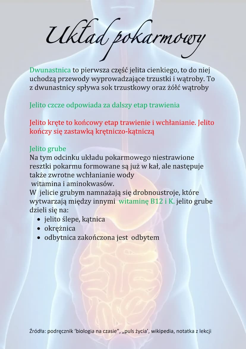 Układ pokarmowy
Układ pokarmowy odpowiada za jedną z najważniejszych
funkcji żywego organizmu. Układ pokarmowy człowieka to
zespół współdzia
