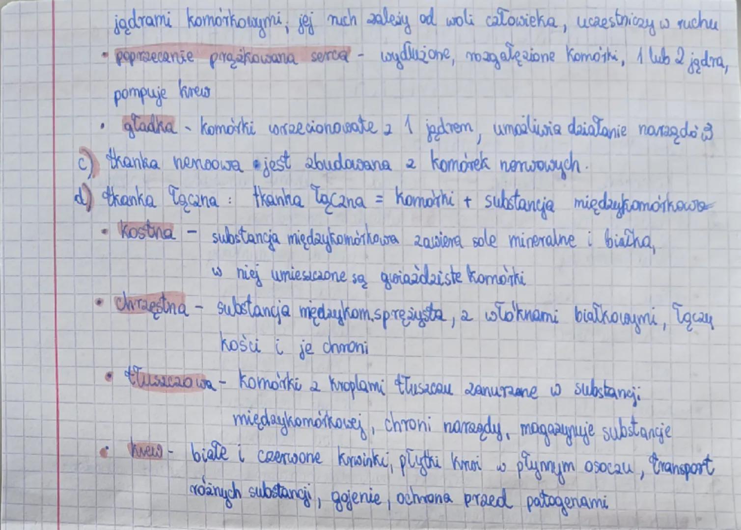 HIERARCHICZNA BUDOWA ORGANIZMU
CZŁOWIEKA
1. Hierarchiczna budowa organizmu:
komórka → tkanka → narząd → układ narządów → organizm
2. W ludzk