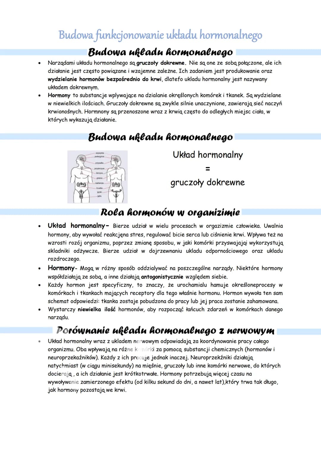 .
•
.
Budowa funkcjonowanie układu hormonalnego
Budowa układu hormonalnego
Narządami układu hormonalnego są gruczoły dokrewne. Nie są one ze