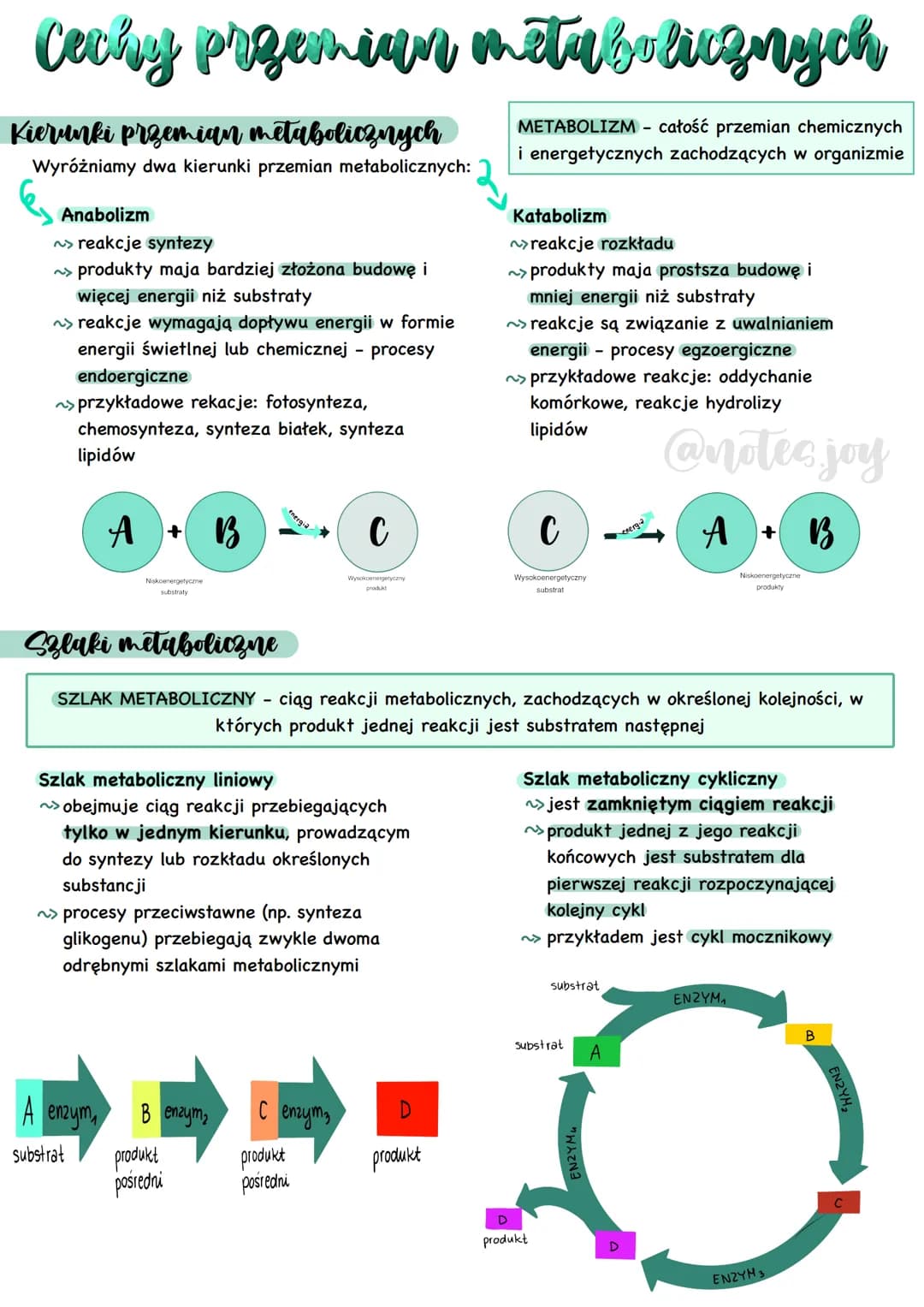 Cechy przemian metabolicznych
METABOLIZM - całość przemian chemicznych
i energetycznych zachodzących w organizmie
Kierunki przemian metaboli