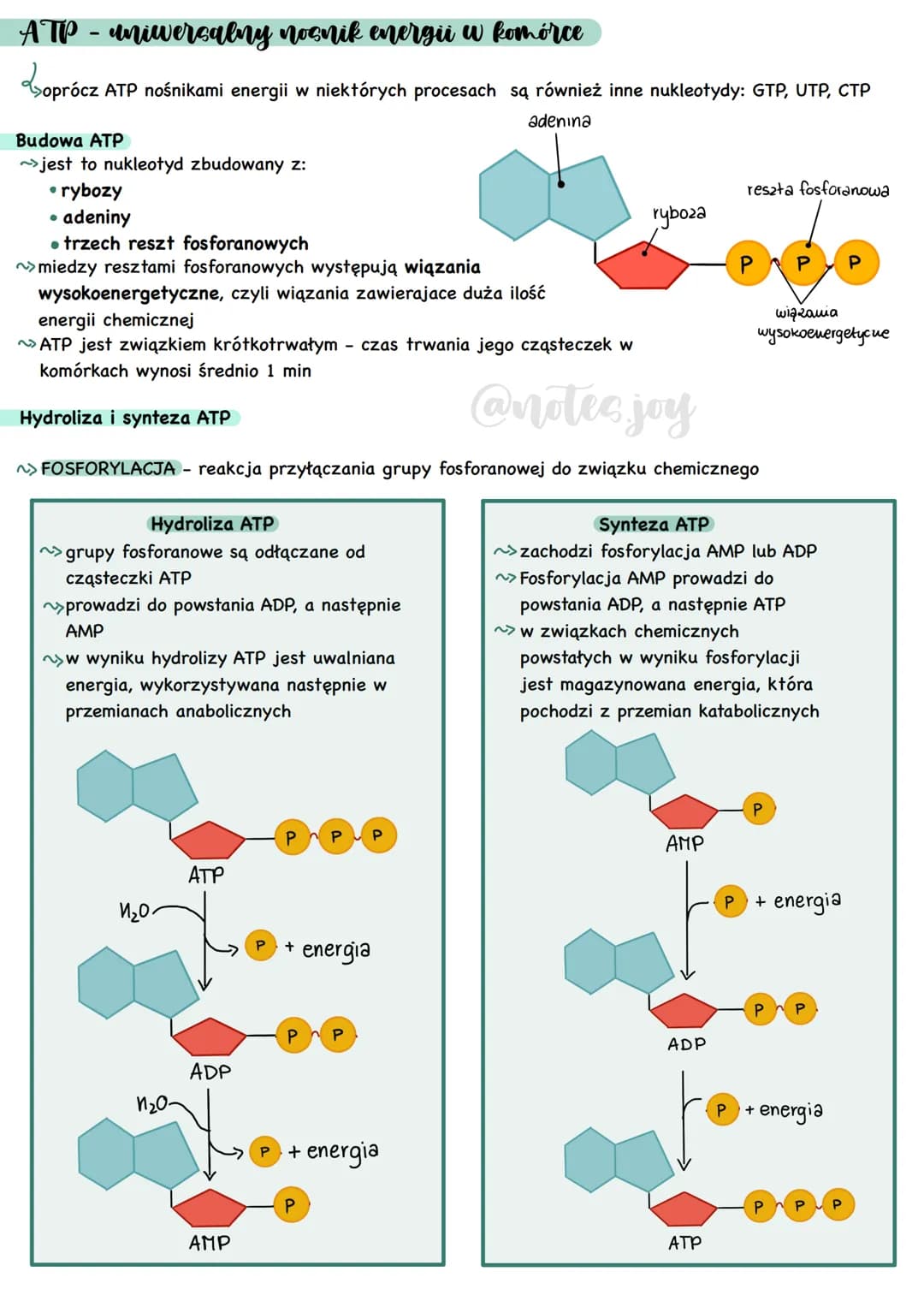 Cechy przemian metabolicznych
METABOLIZM - całość przemian chemicznych
i energetycznych zachodzących w organizmie
Kierunki przemian metaboli