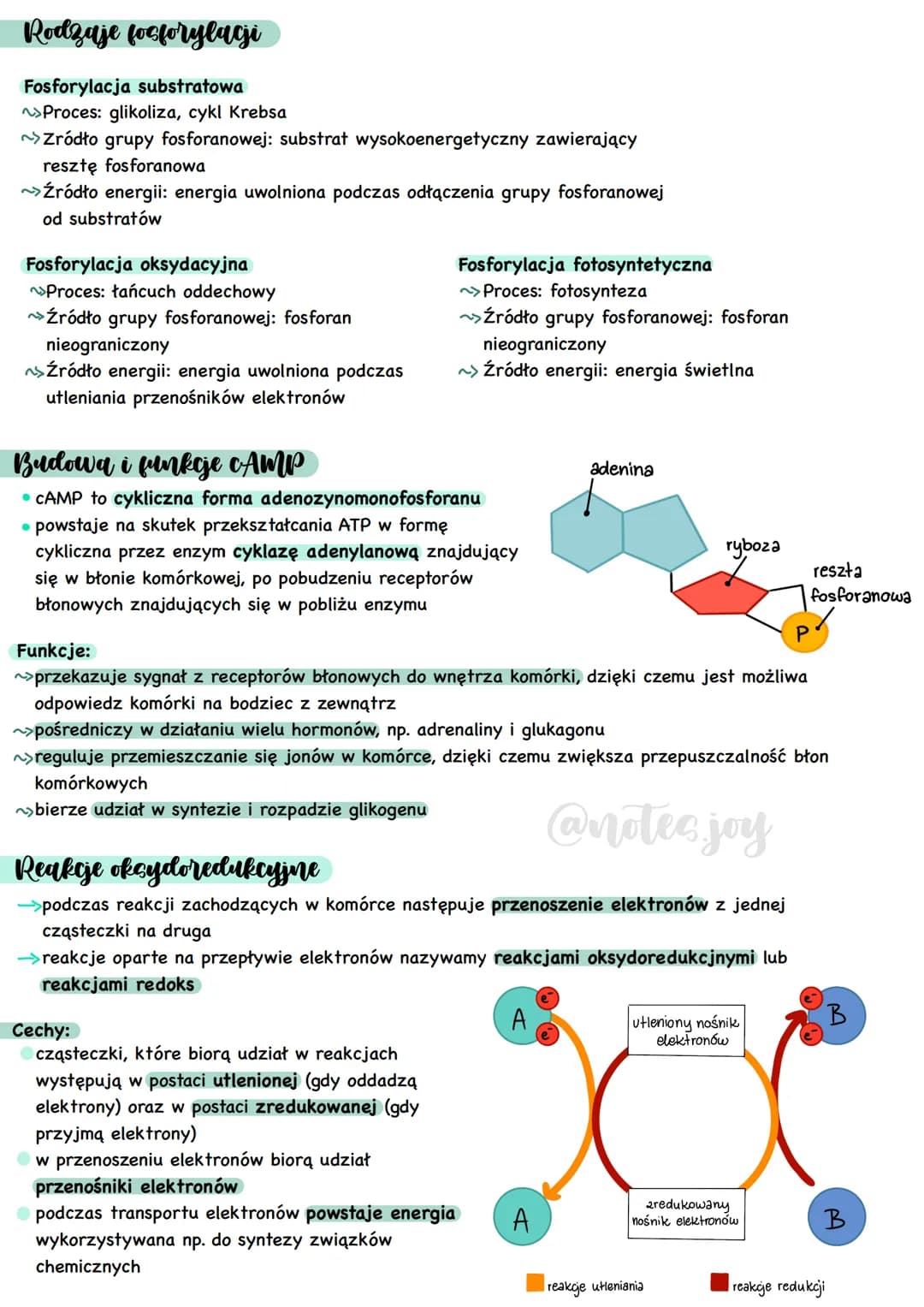 Cechy przemian metabolicznych
METABOLIZM - całość przemian chemicznych
i energetycznych zachodzących w organizmie
Kierunki przemian metaboli