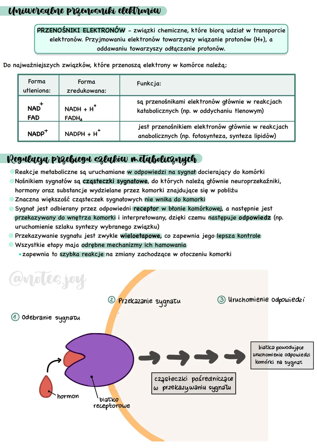 Cechy przemian metabolicznych
METABOLIZM - całość przemian chemicznych
i energetycznych zachodzących w organizmie
Kierunki przemian metaboli