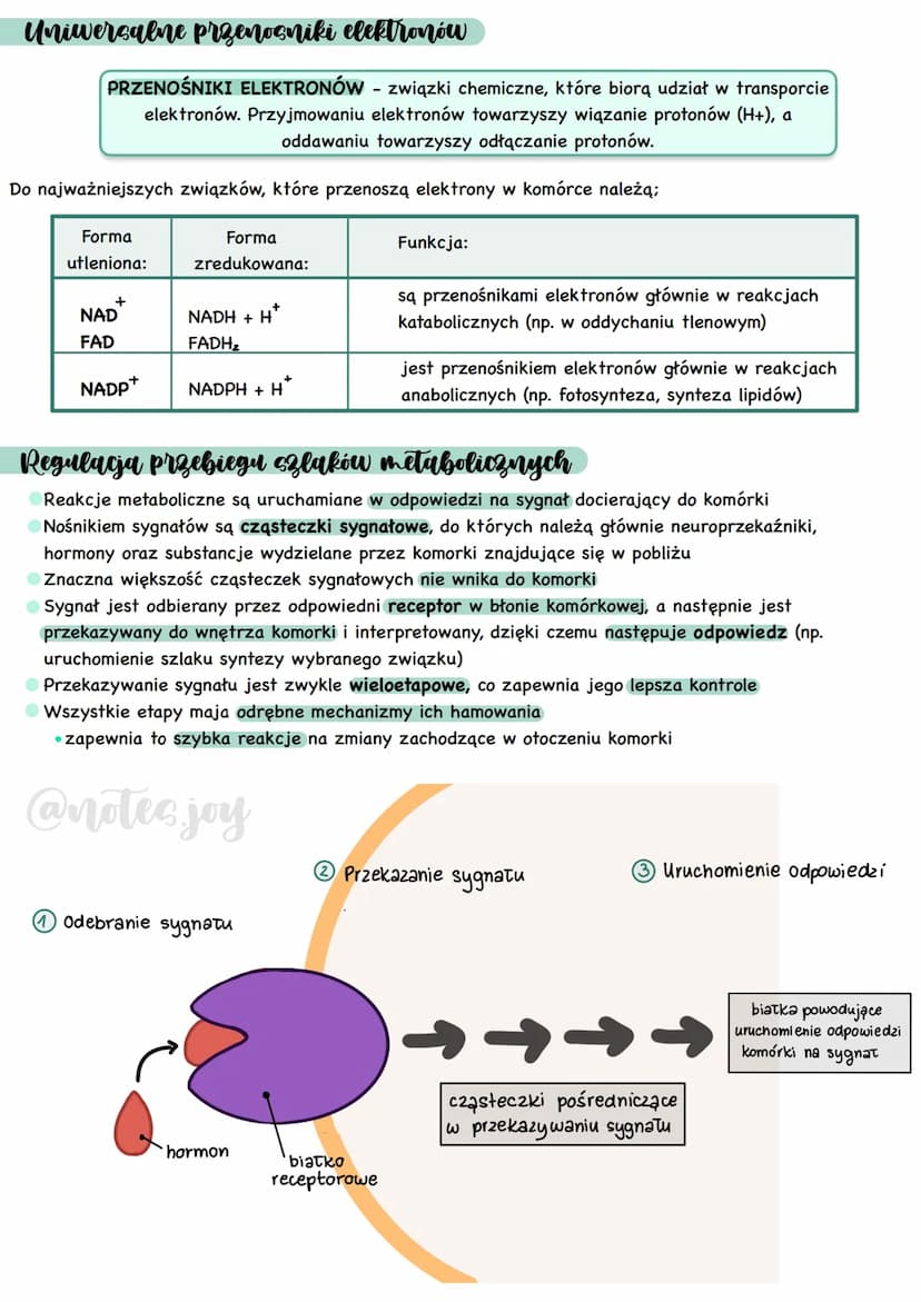 Cechy przemian metabolicznych
METABOLIZM - całość przemian chemicznych
i energetycznych zachodzących w organizmie
Kierunki przemian metaboli