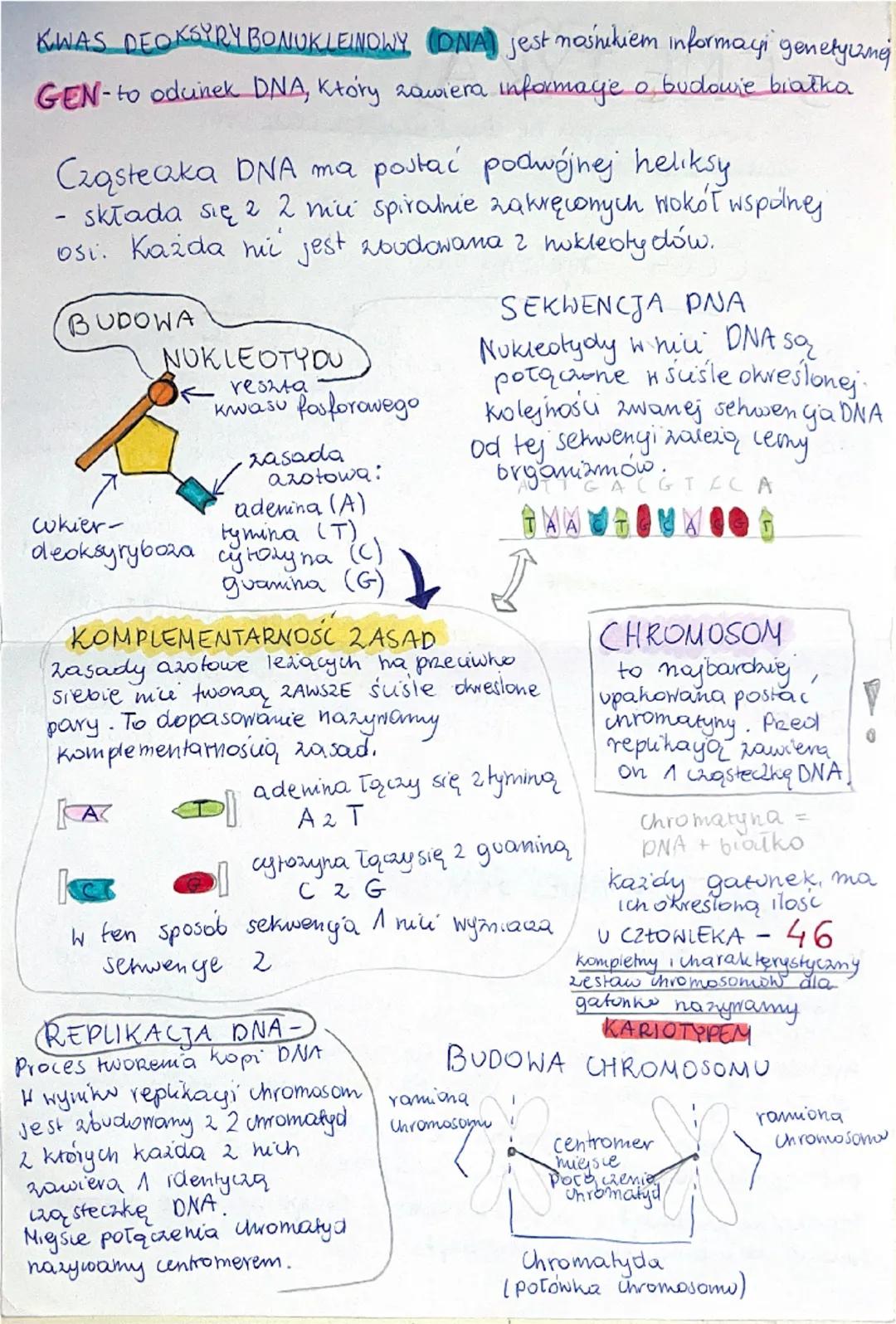 GENETYKA
to nauka zajmująca się dziedziczeniem cech oraz
zmiennością organizmów.
CECHY dzielimy na:
DZIEDZICZNE
cechy odziedziczone po
rodzi