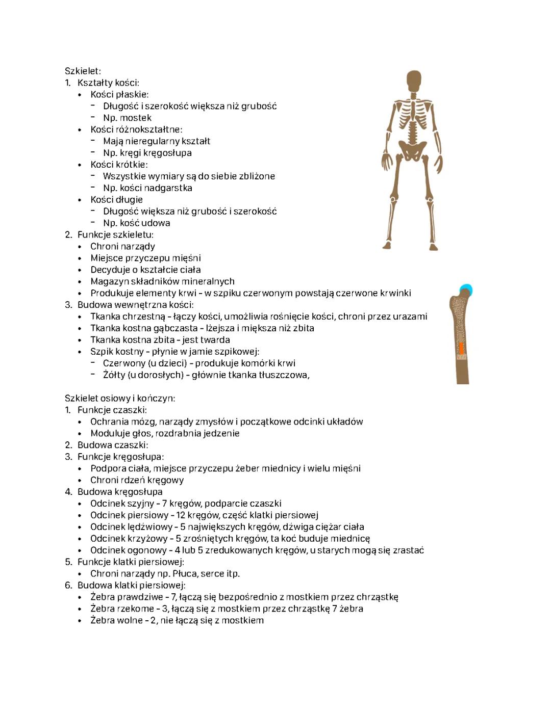 Układ Ruchu - Notatki i Sprawdzian dla Klasy 2 Liceum PDF