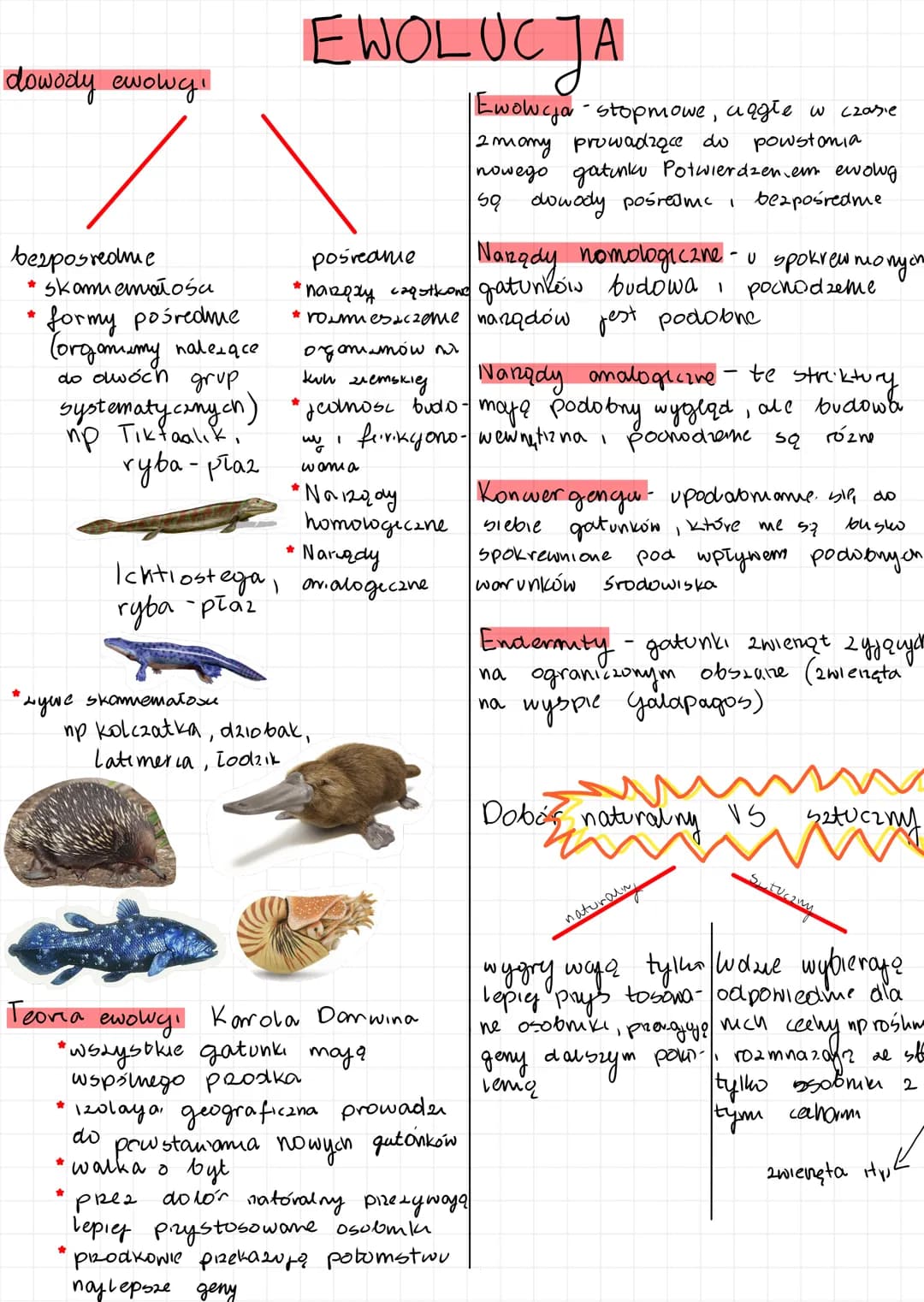 Sprawdzian Z Biologii Ewolucja życia Nowa Era Klasa 8 Odpowiedzi Proste wyjaśnienie: Ewolucja Życia i Człowieka: Sprawdzian Klasa 8 PDF