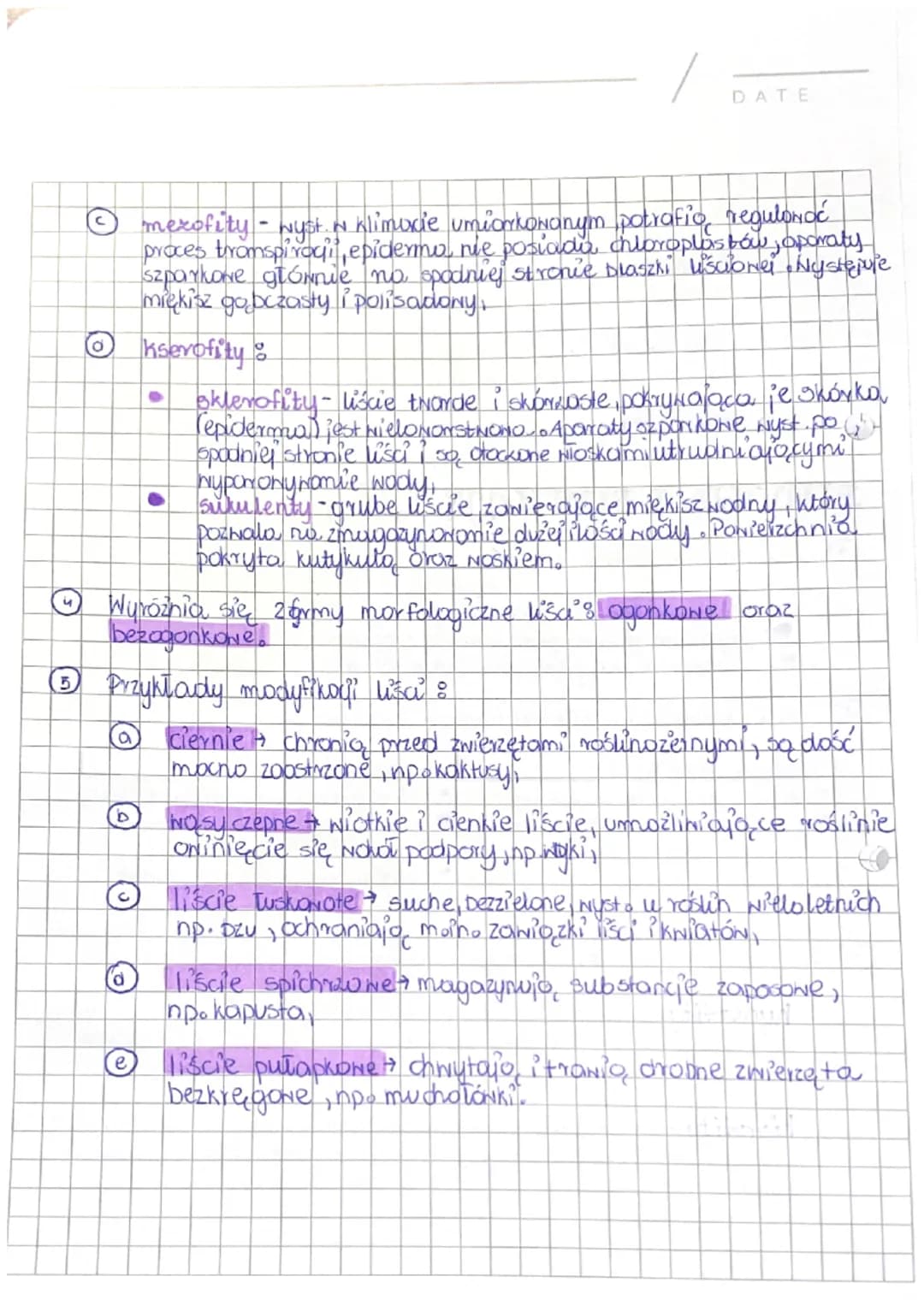 organyz
te gee je bilmez
KORZEN-organ podziemny rośliny :
korzeń jest to wegetatywny element, zazwyczaj będący podziemną
częścią rośliny. Na
