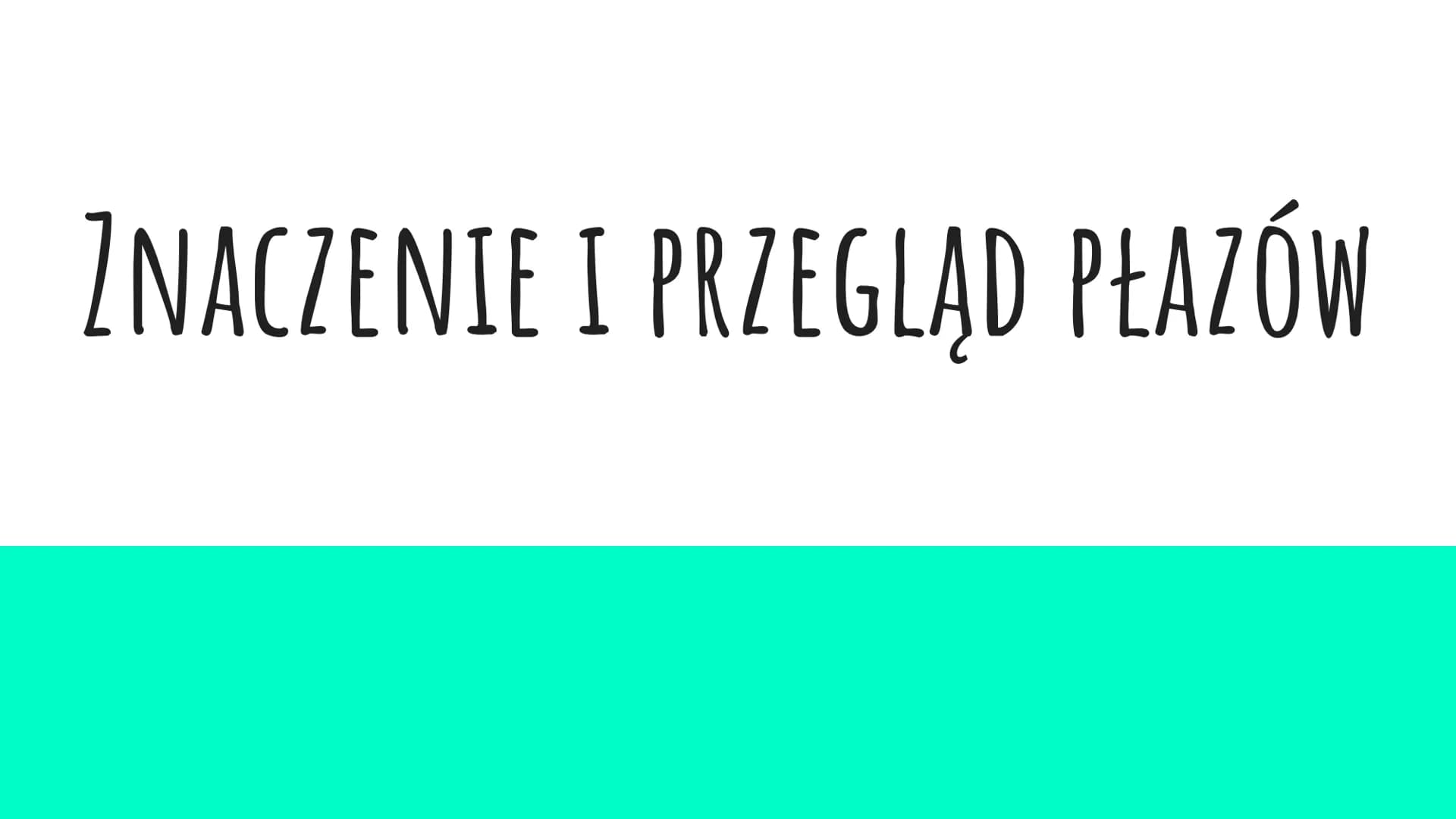 ZNACZENIE I PRZEGLĄD PŁAZÓW ZNACZENIE PŁAZÓW W PRZYRODZIE I DLA CZŁOWIEKA
W Przyrodzie:
są pokarmem dla innych zwierząt (np. gadów, ptaków, 