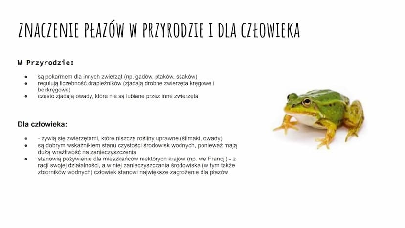 ZNACZENIE I PRZEGLĄD PŁAZÓW ZNACZENIE PŁAZÓW W PRZYRODZIE I DLA CZŁOWIEKA
W Przyrodzie:
są pokarmem dla innych zwierząt (np. gadów, ptaków, 