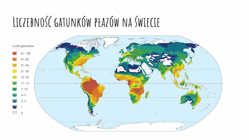 ZNACZENIE I PRZEGLĄD PŁAZÓW ZNACZENIE PŁAZÓW W PRZYRODZIE I DLA CZŁOWIEKA
W Przyrodzie:
są pokarmem dla innych zwierząt (np. gadów, ptaków, 