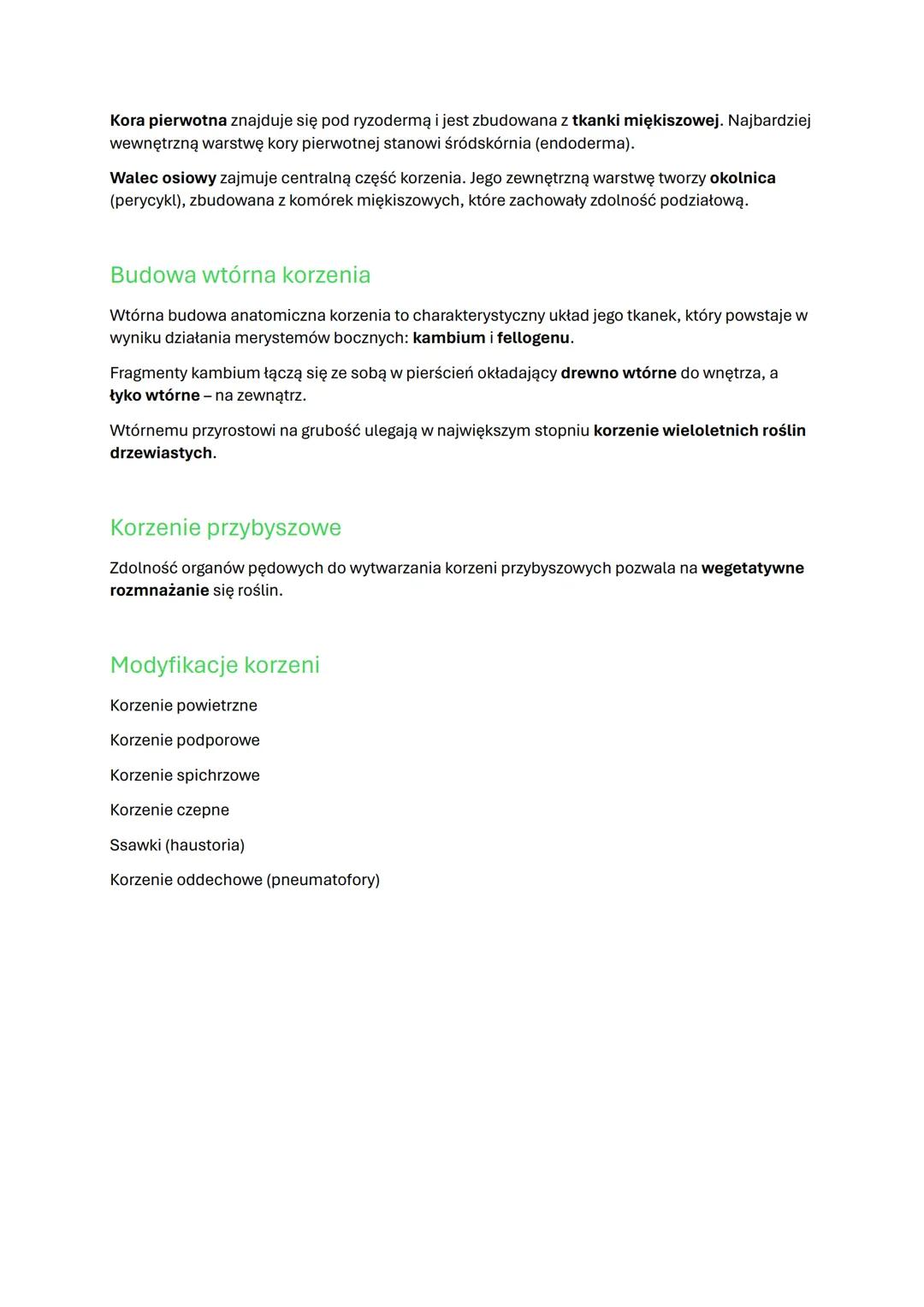 Korzeń - organ podziemny rośliny
Korzeń jest organem wegetatywnym, który występuje u większości roślin lądowych i wtórnie
wodnych. Zazwyczaj