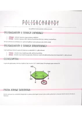 Know Polisacharydy thumbnail