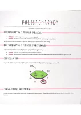 Know Polisacharydy thumbnail