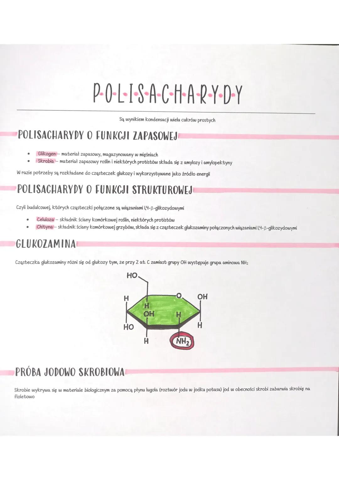 P-O-L·I·S·A·CH·A·R·Y-D-Y
Są wynikiem kondensacji wielu cukrów prostych
POLISACHARYDY O FUNKCJI ZAPASOWEJ
Glikogen- materiał zapasowy, magazy