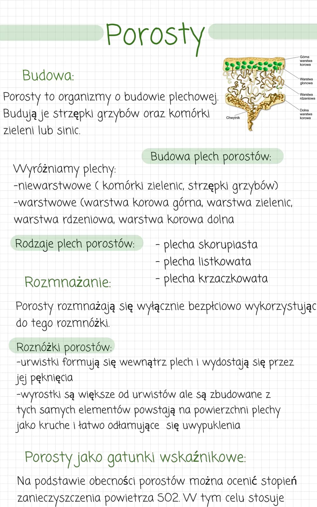 Porosty
Budowa:
Porosty to organizmy o budowie plechowej.
Budują je strzępki grzybów oraz komórki
zieleni lub sinic.
Chwytnik
Budowa plech p