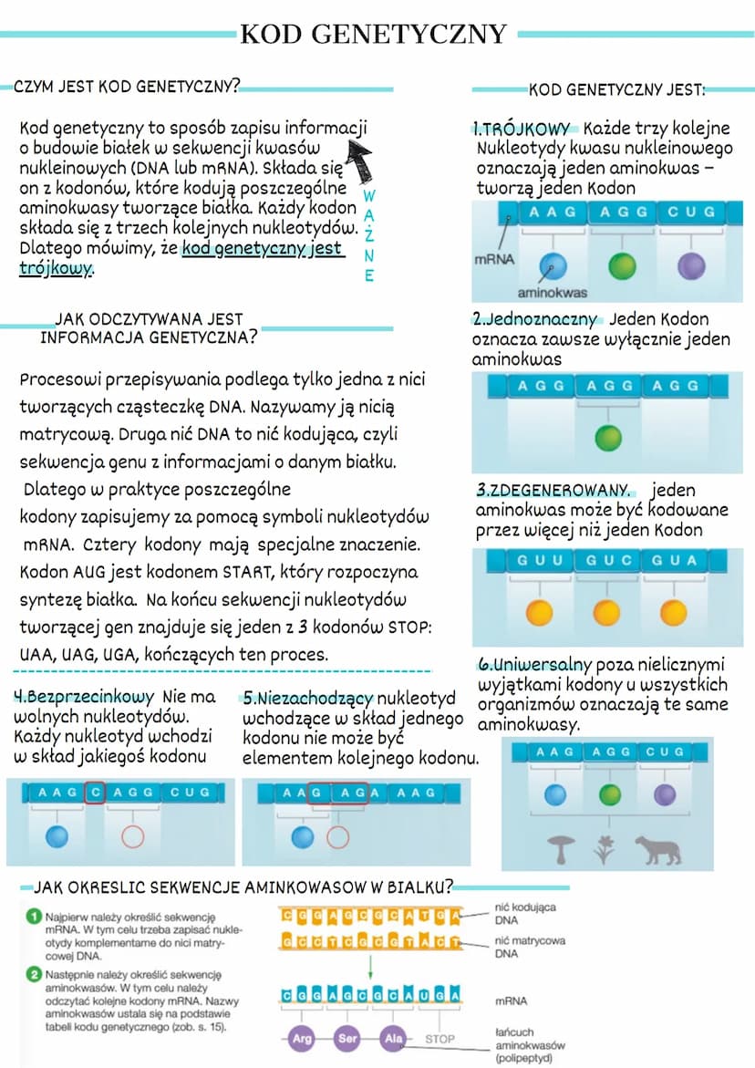 1. GEN Podstawowa jednostka dziedziczna.
Pojedynczy gen to fragment DNA, który
zawiera informacje dotyczącą białka lub
cząsteczek RNA
Polipe