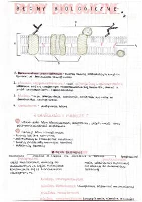 Know błony biologiczne thumbnail