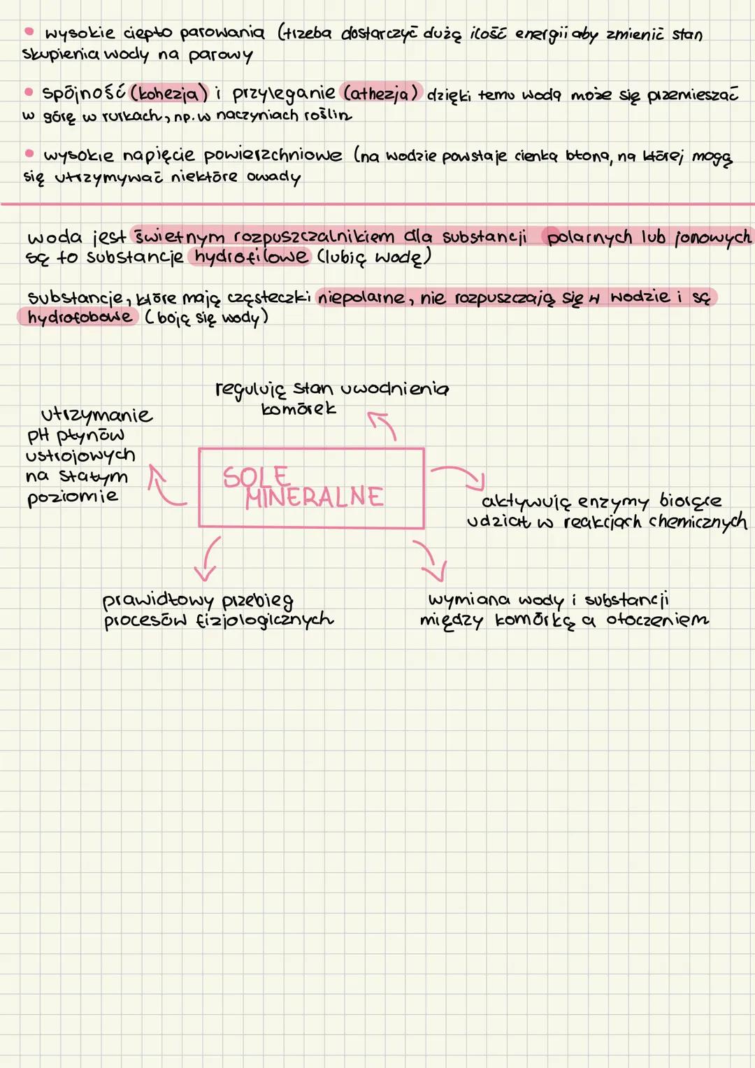 # Kortkówka SBEADNIKI CHEMICZNE

PIERWIASTEK- podstawowy składnik chemiczny każdego organizmu

Makioelementy - pierwiastki, które występują 