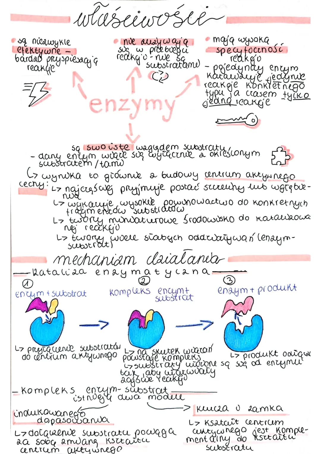 enzymy
PO
zapoczątkowania każdy reake'c' potreba określonej ilośw ener-
güù. Nosu on a nazwę energoo akky way magana ilość energuline
Reakgi