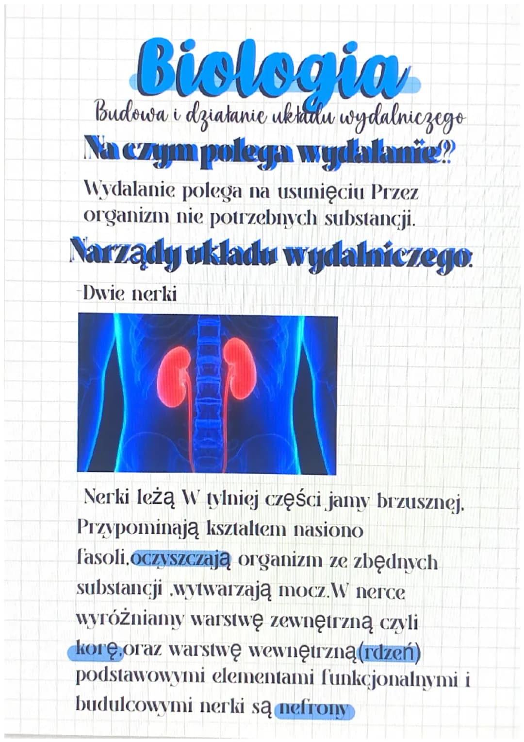 Biologia
Budowa i działanie układu wydalniczego
Na czym polega wydalanie?
Wydalanie polega na usunięciu Przez
organizm nie potrzebnych subst