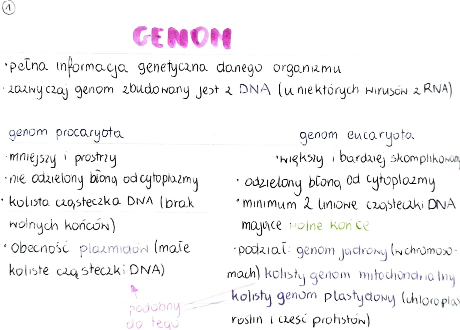 GENOM
• pełna informacja genetyczna danego organizmu
zazwyczaj genom 2budowany jest 2 DNA (u niektórych wirusóN 2 RNA)
genom procaryota
·mni