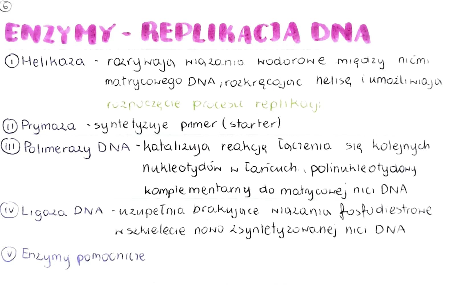 GENOM
• pełna informacja genetyczna danego organizmu
zazwyczaj genom 2budowany jest 2 DNA (u niektórych wirusóN 2 RNA)
genom procaryota
·mni