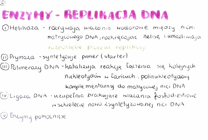 GENOM
• pełna informacja genetyczna danego organizmu
zazwyczaj genom 2budowany jest 2 DNA (u niektórych wirusóN 2 RNA)
genom procaryota
·mni