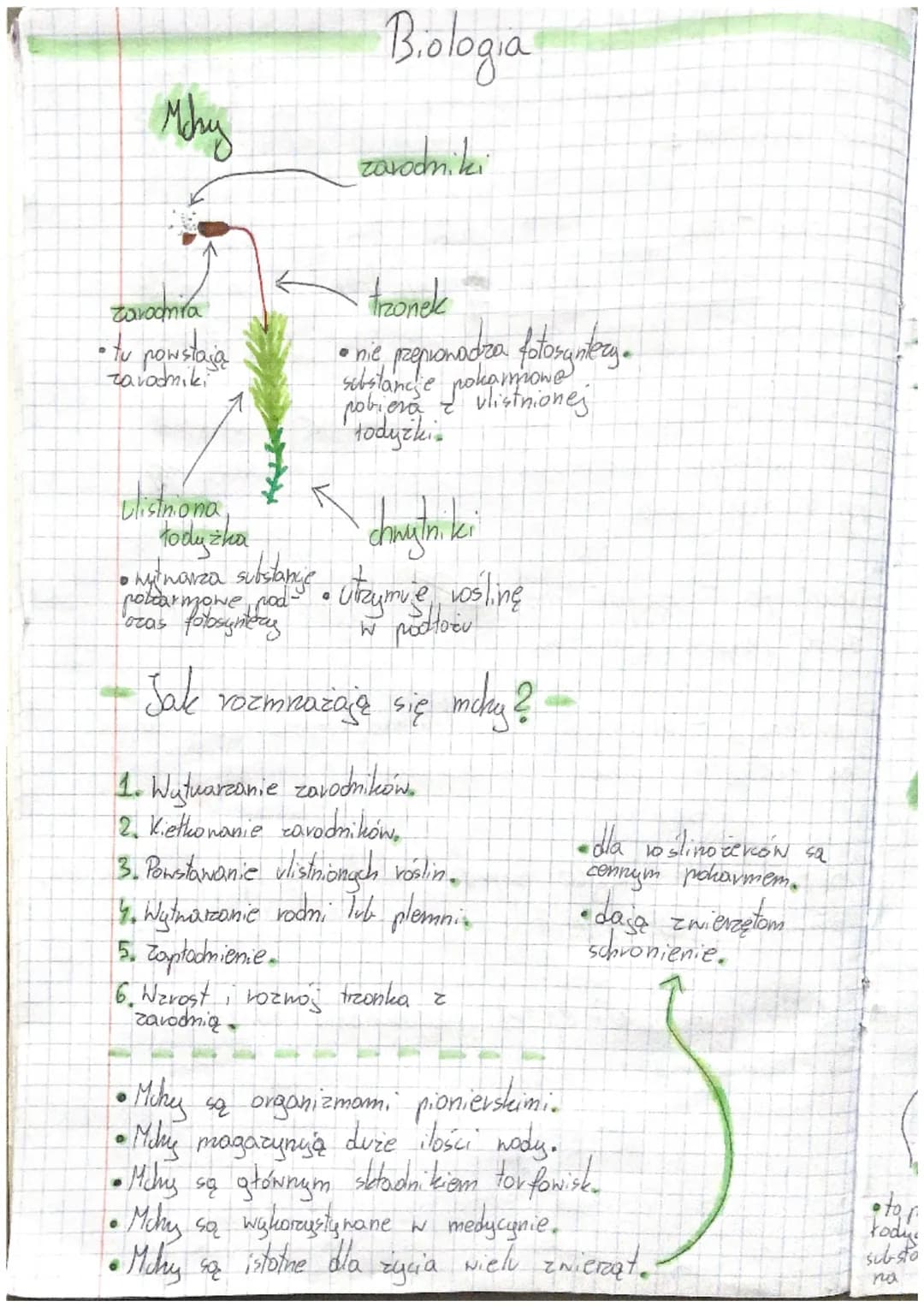Mohy
Zavodnila
• tv powstają
zavodniki
Ulistriona
tody zha
• my navza substang
Biologia
zavodniki
tzonek
• nie prepianodza fotosyntezy.
polo