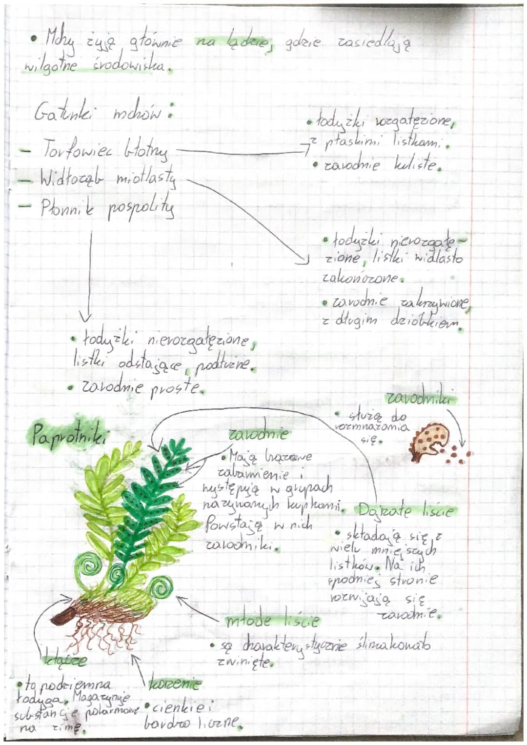 Mohy
Zavodnila
• tv powstają
zavodniki
Ulistriona
tody zha
• my navza substang
Biologia
zavodniki
tzonek
• nie prepianodza fotosyntezy.
polo