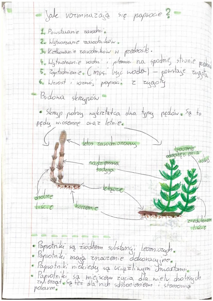 Mohy
Zavodnila
• tv powstają
zavodniki
Ulistriona
tody zha
• my navza substang
Biologia
zavodniki
tzonek
• nie prepianodza fotosyntezy.
polo
