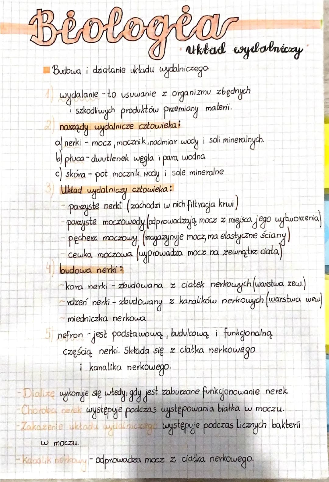 uklad wydalniczy klasa 7 