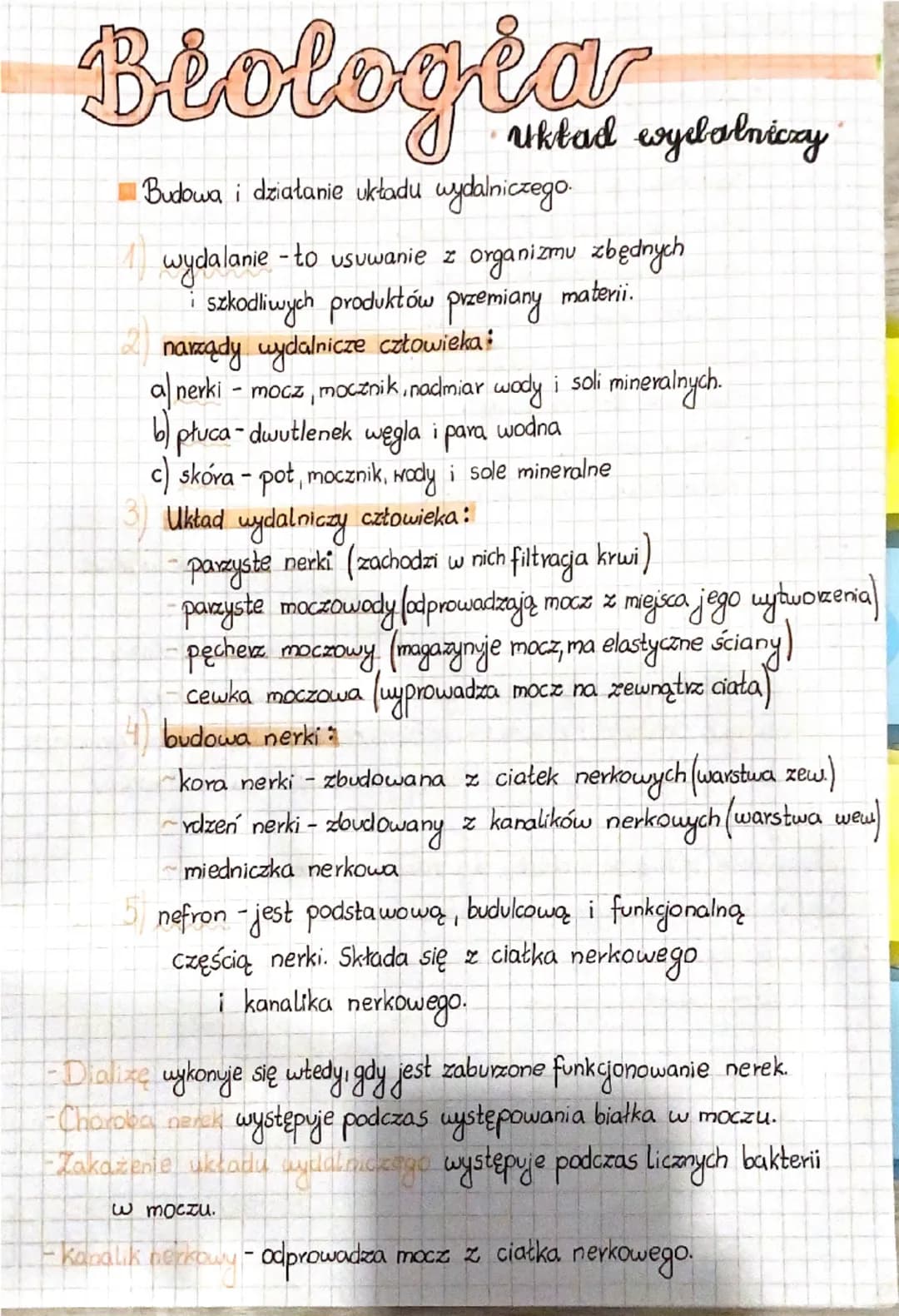 --- OCR Start ---
Biologia
Układ wydalniczy
Budowa i działanie układu wydalniczego.
1) wydalanie - to usuwanie z organizmu zbędnych
i szkodl