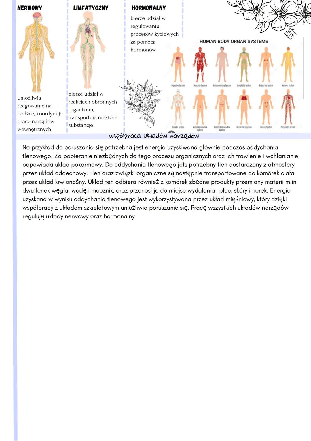 podstawowa
jednostka budulcowa i
funkcjonalna
organizmu
TKANKI
KOMÓRKI
NARZĄDY
mechanicznymi,
pośredniczy w
odbieraniu
bodźców, bierze
HIERA