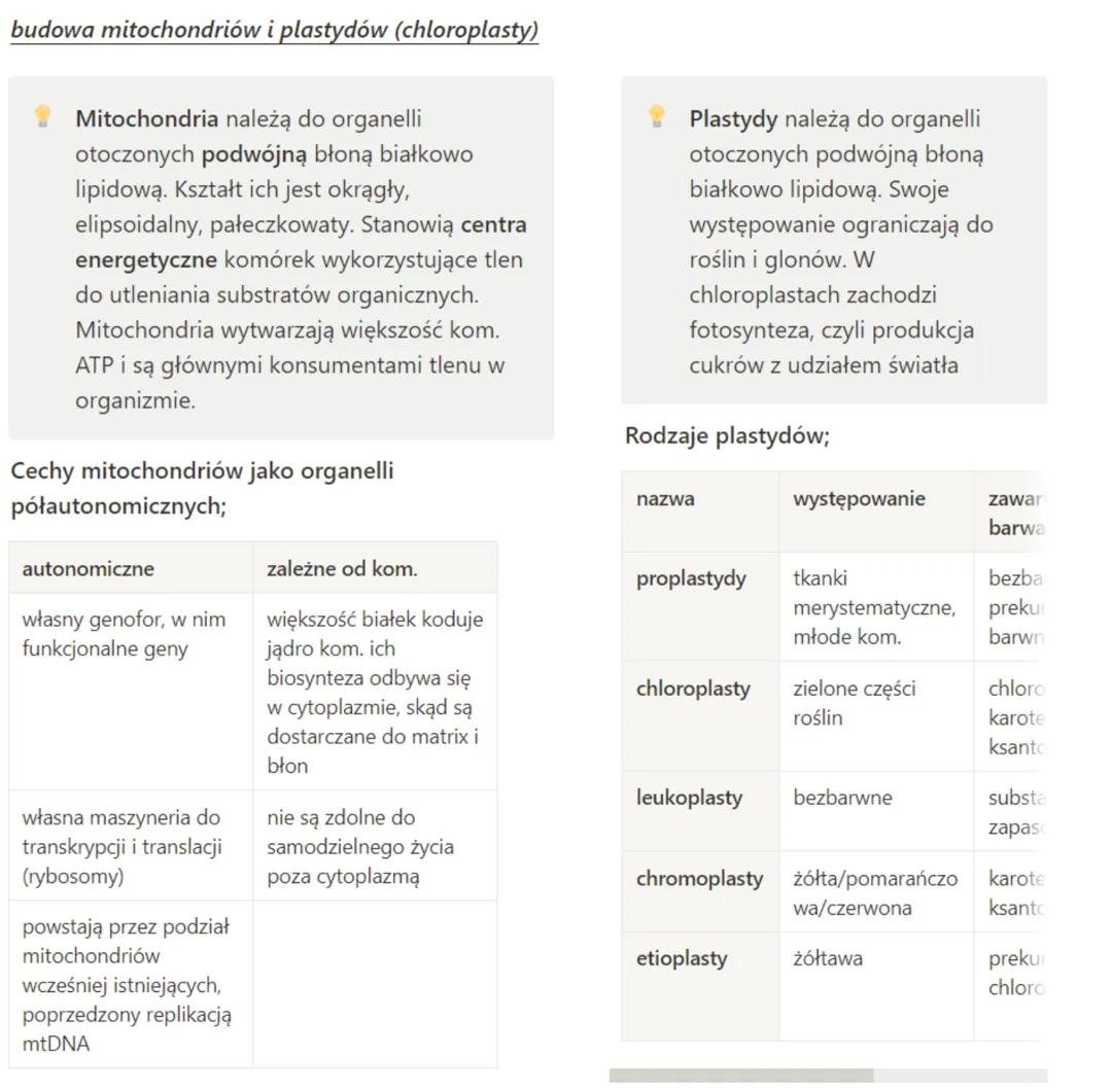 Komórka - funkcje mitochondriów, plastydów i ściany komórkowej