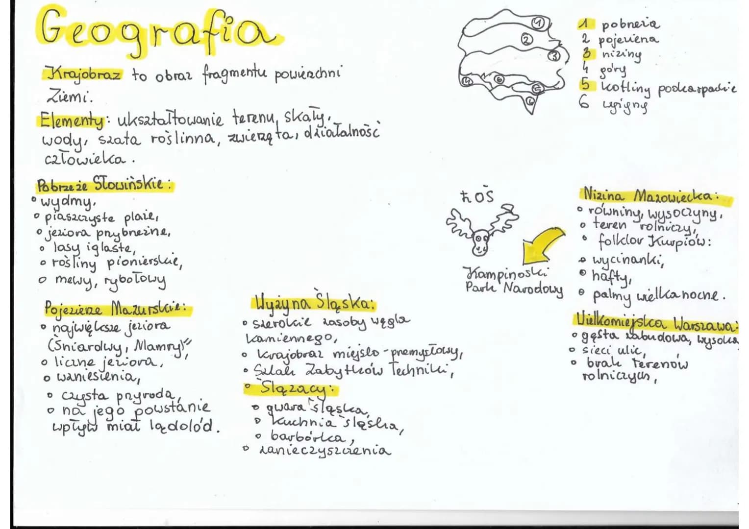 Geografia
Krajobraz to obraz fragmentu powierzchni
Ziemi.
Elementy: ukształtowanie terenu, skały.
wody, saata roslinna, zwierzęta, diałalnoś