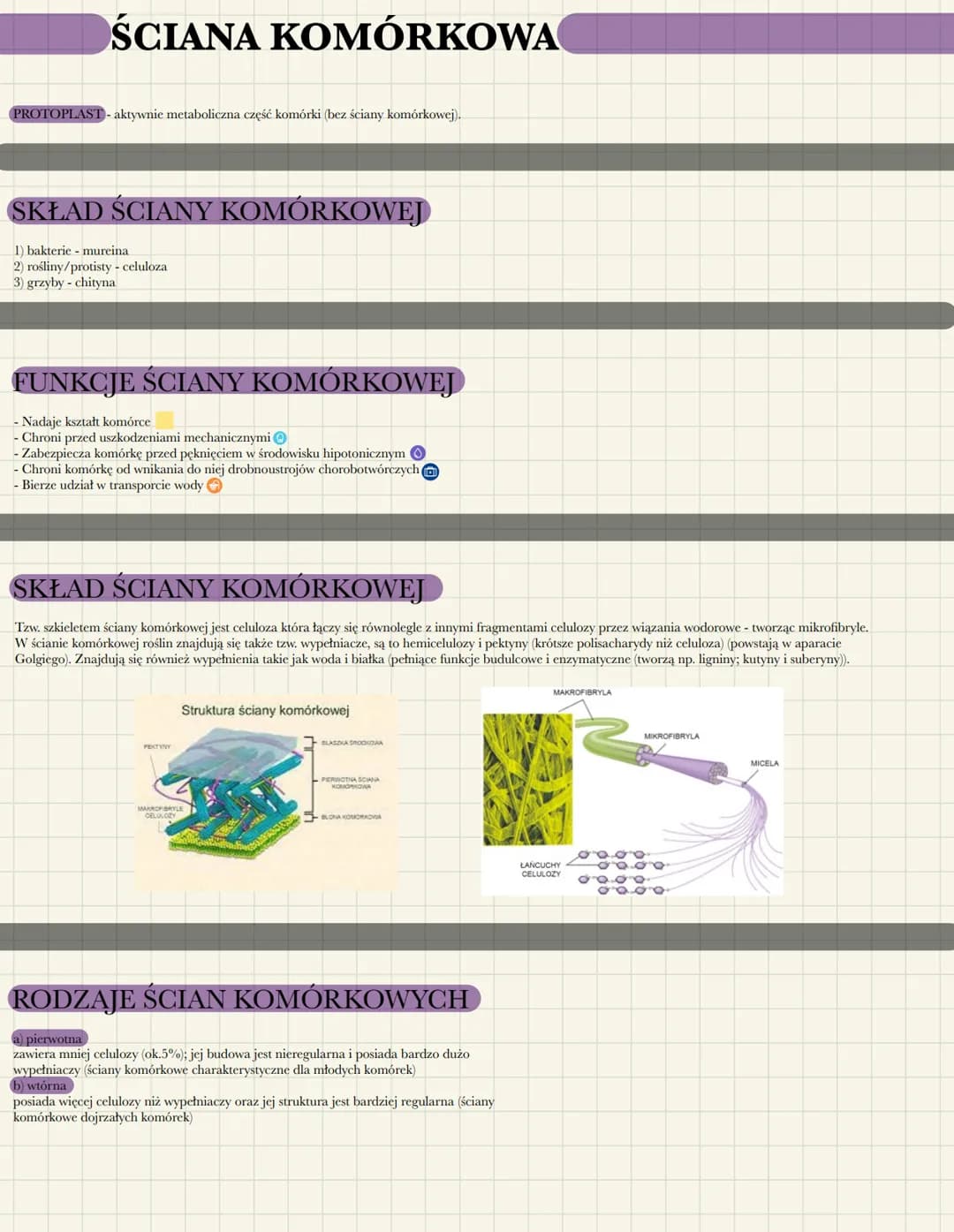 ŚCIANA KOMÓRKOWA
PROTOPLAST- aktywnie metaboliczna część komórki (bez ściany komórkowej).
SKŁAD ŚCIANY KOMÓRKOWEJ
1) bakterie mureina
2) roś