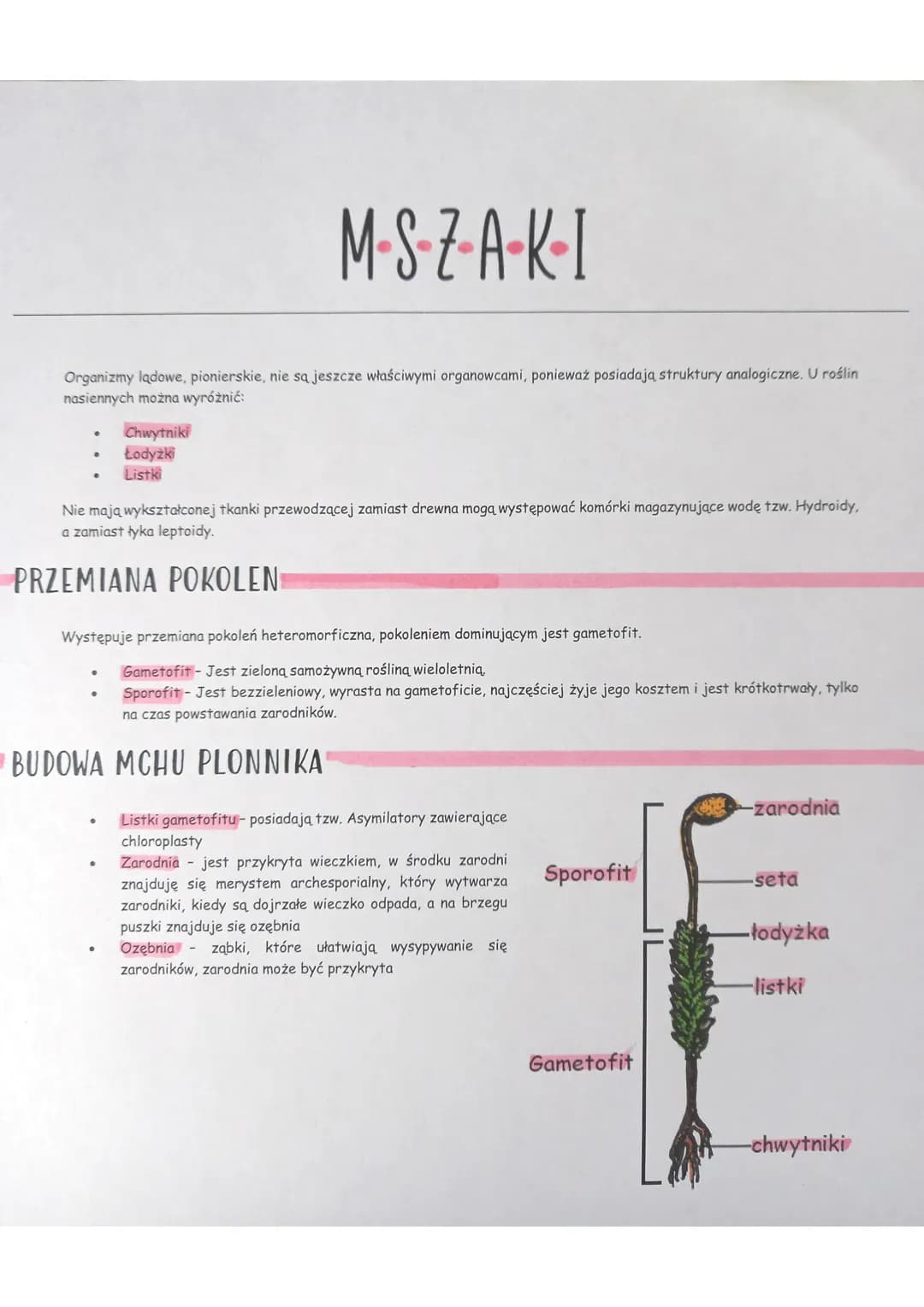 Organizmy ladowe, pionierskie, nie są jeszcze właściwymi organowcami, ponieważ posiadają struktury analogiczne. U roślin
nasiennych można wy